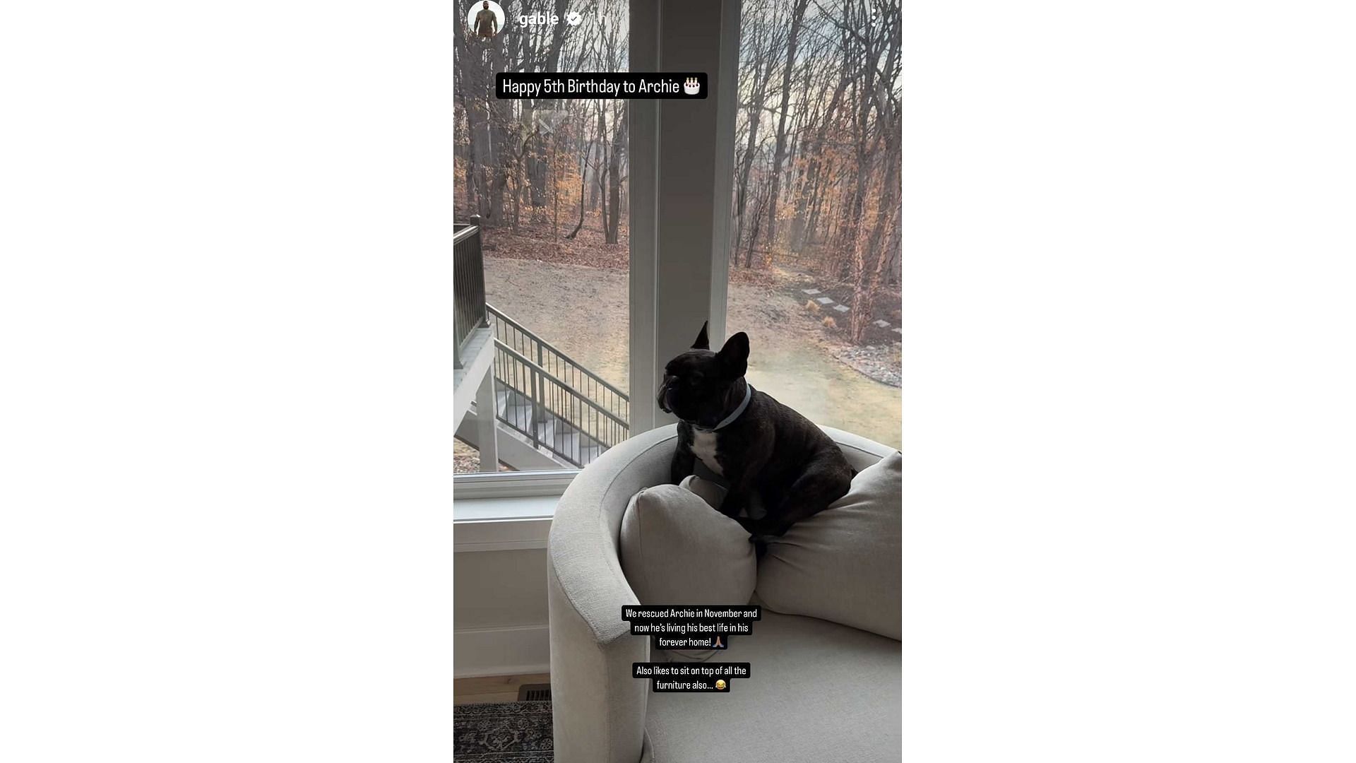 Gable Steveson's story on his dog's birthday - Source: via @gable on Instagram